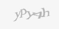 Защитный код